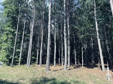 4560 Raulston Falls Road Jasper TN 37347