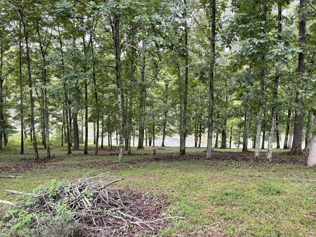 0 Cove Lane Lawrenceburg TN 38464