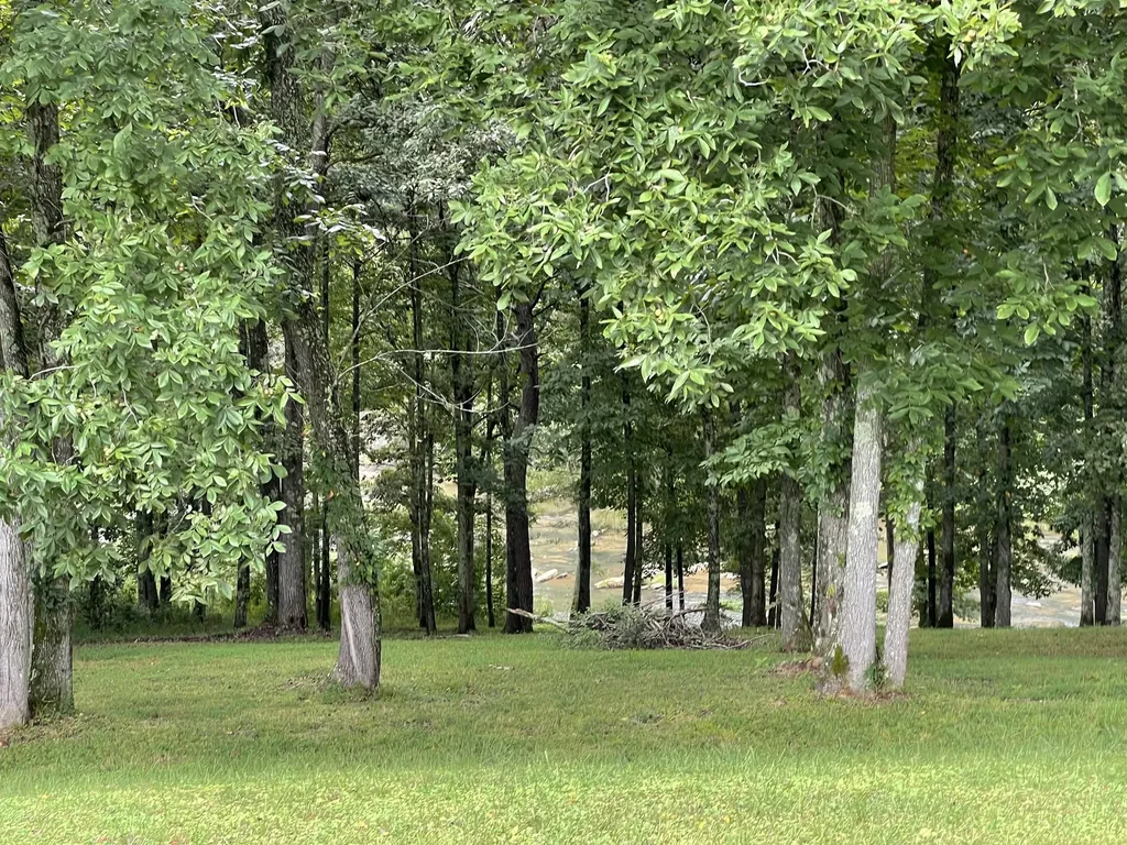 0 Cove Lane Lawrenceburg TN 38464