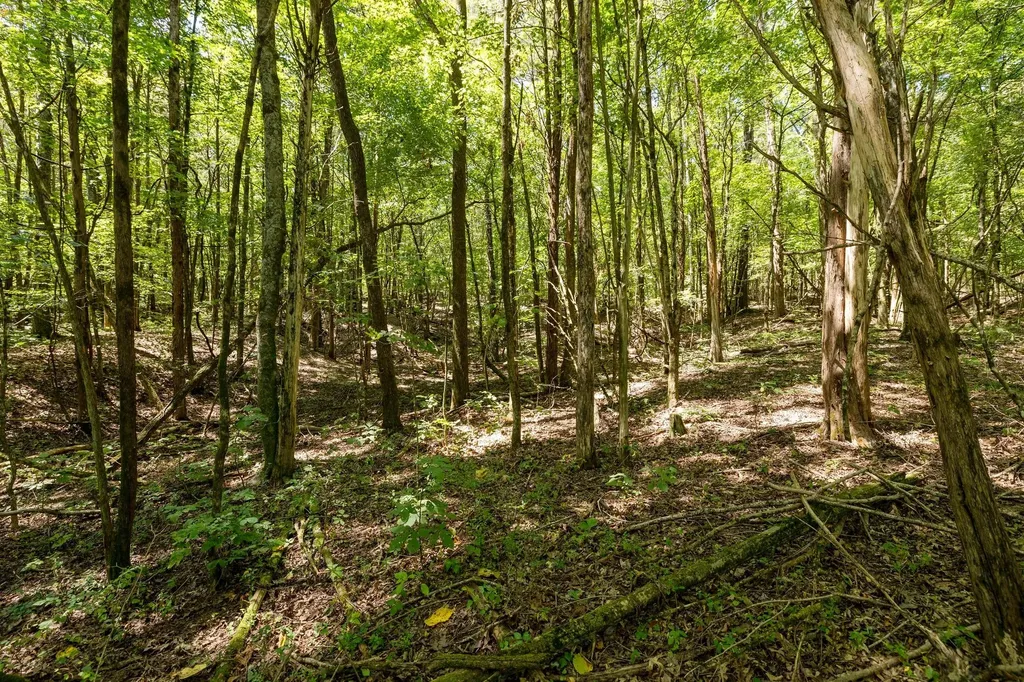 0 Shapiro Trail Columbia TN 38401
