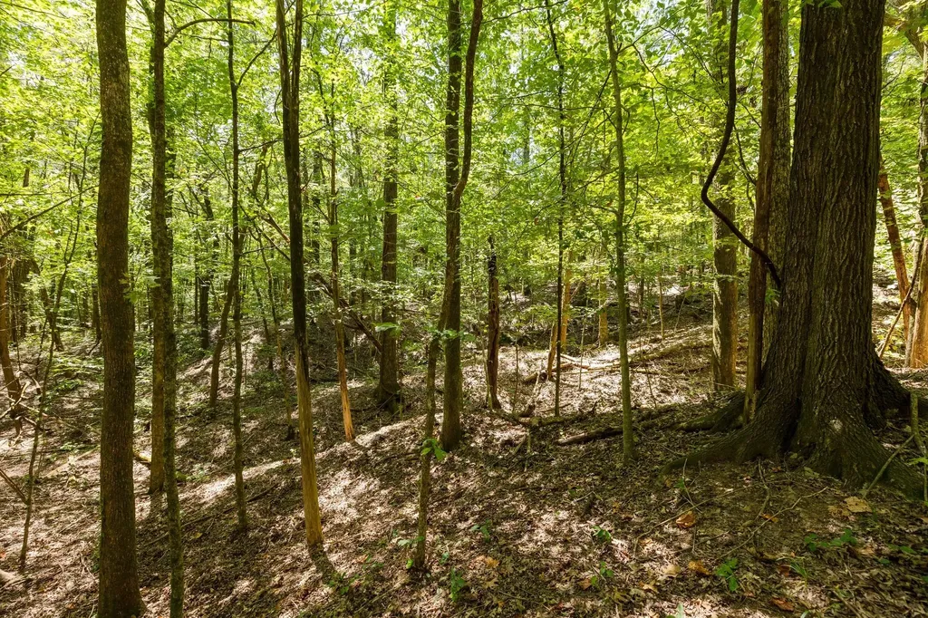0 Shapiro Trail Columbia TN 38401