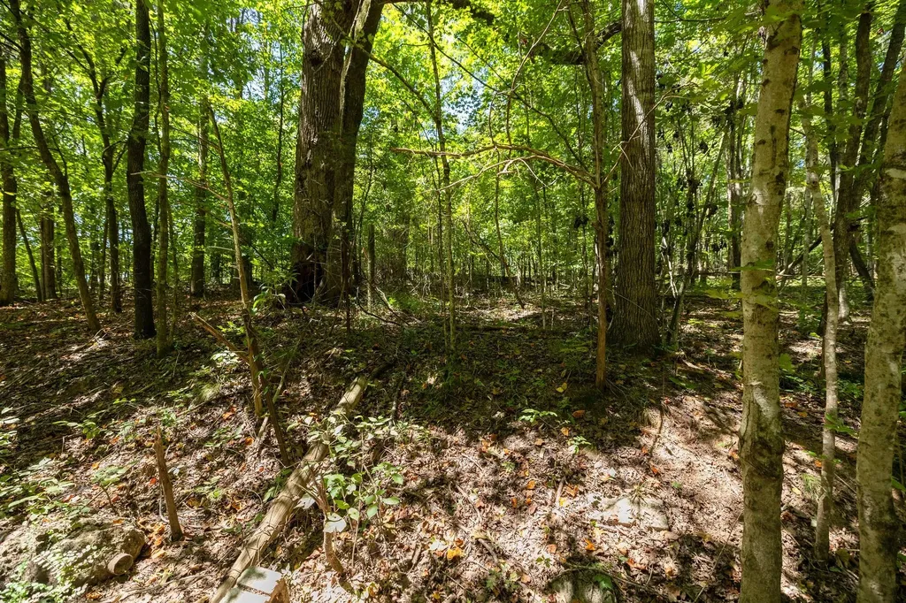 0 Shapiro Trail Columbia TN 38401