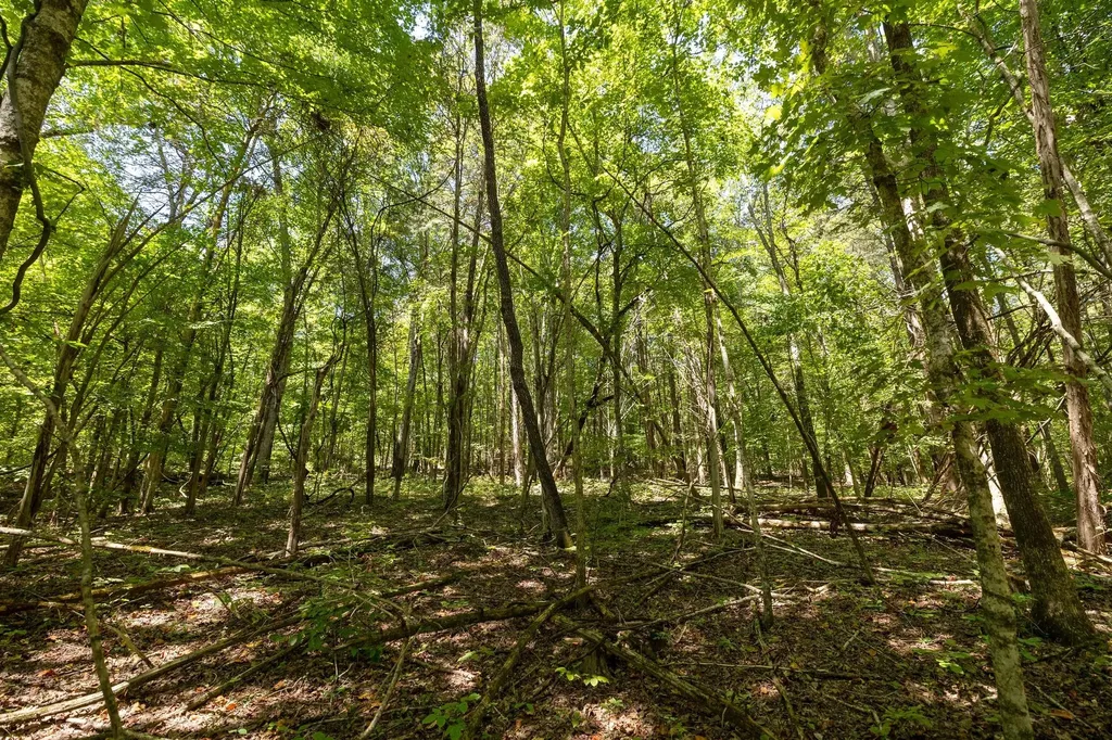0 Shapiro Trail Columbia TN 38401