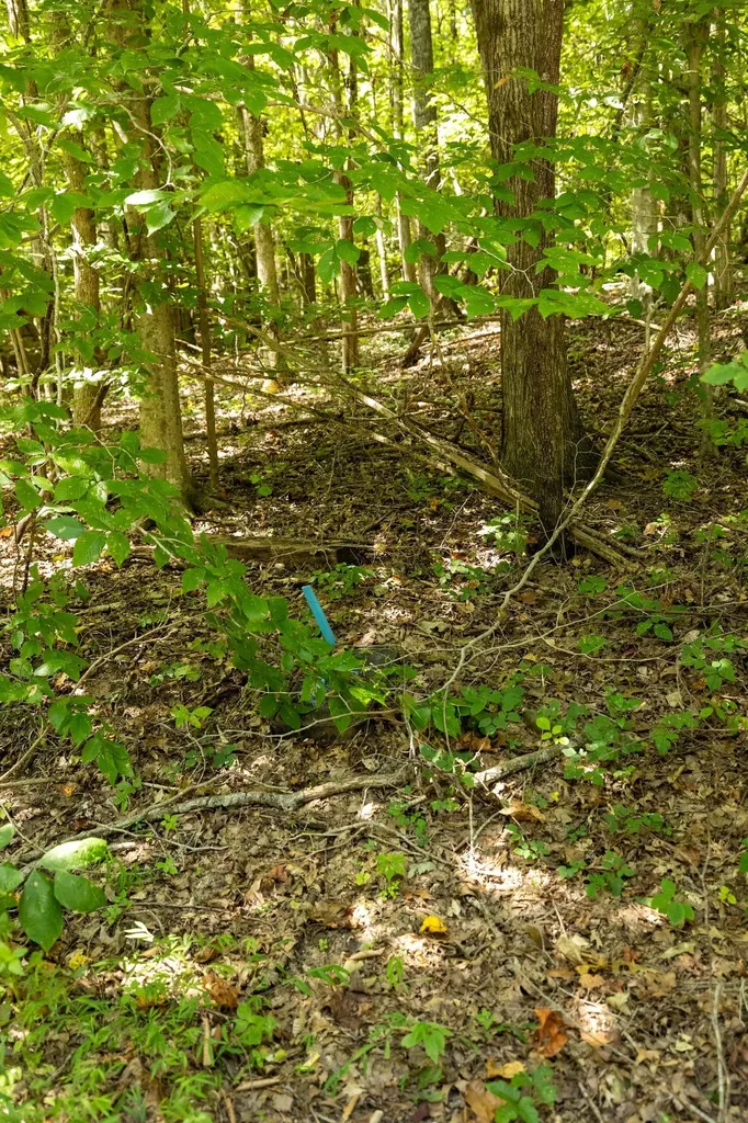 0 Shapiro Trail Columbia TN 38401