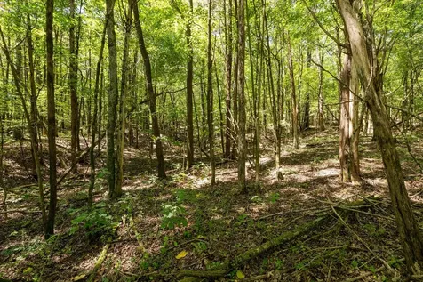 0 Shapiro Trail Columbia TN 38401