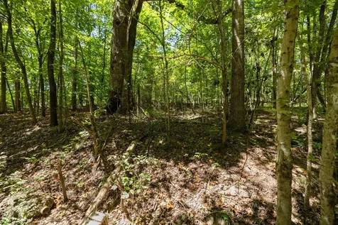 0 Shapiro Trail Columbia TN 38401