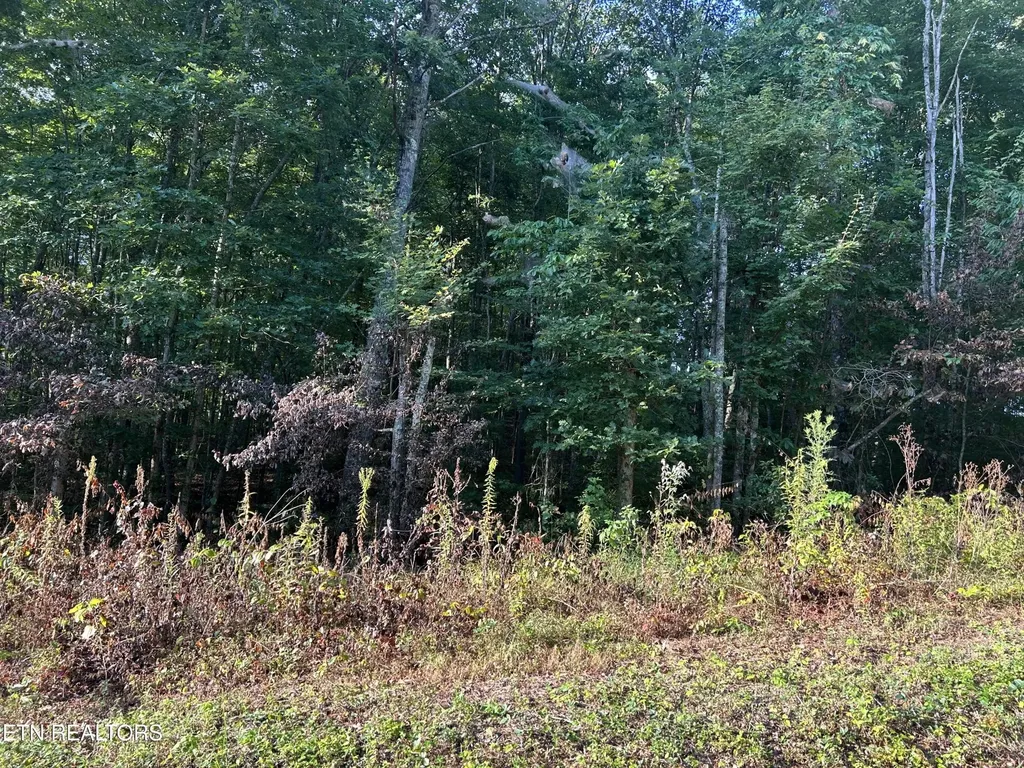 0 Panther Branch Road Jamestown TN 38556