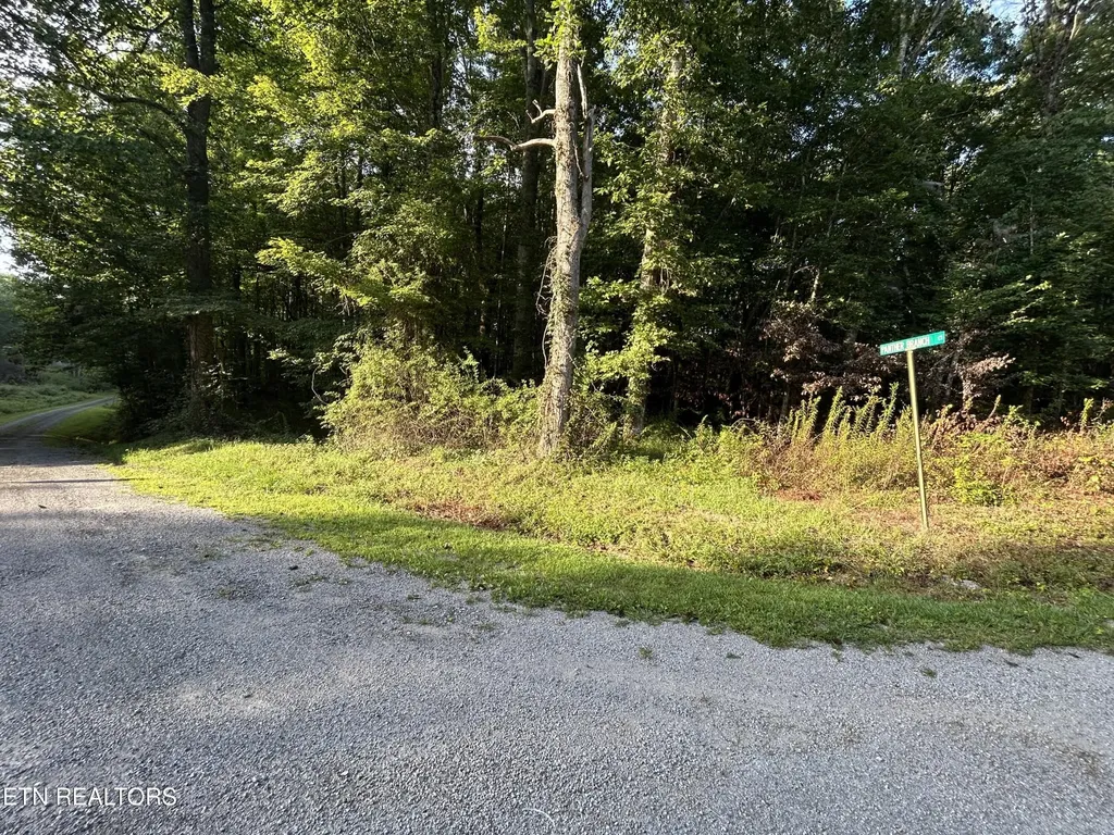 0 Panther Branch Road Jamestown TN 38556