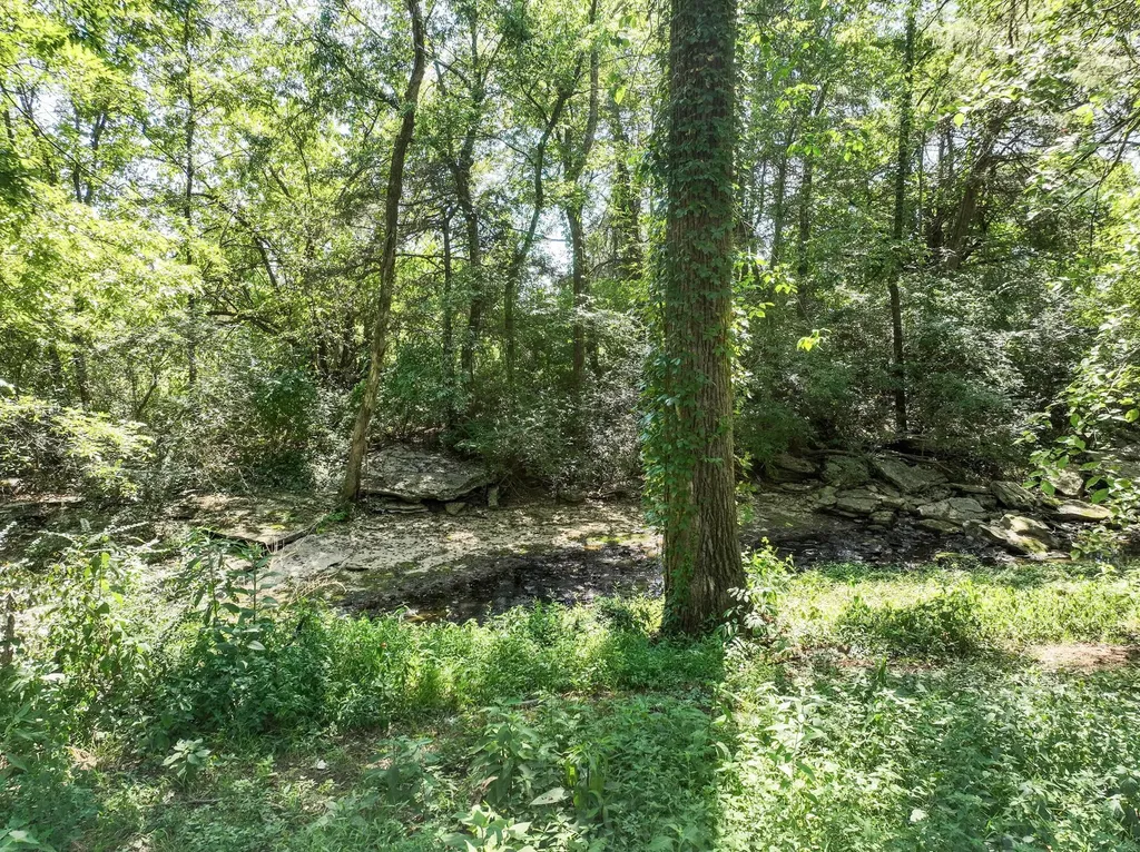 1518 Azalee Lane Chapel Hill TN 37034