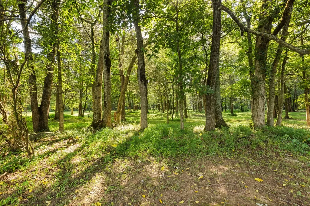 1825 N Lovvorn Road Christiana TN 37037