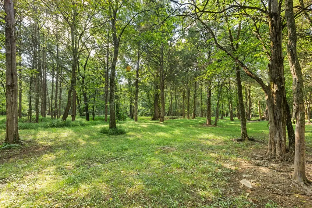 1825 N Lovvorn Road Christiana TN 37037