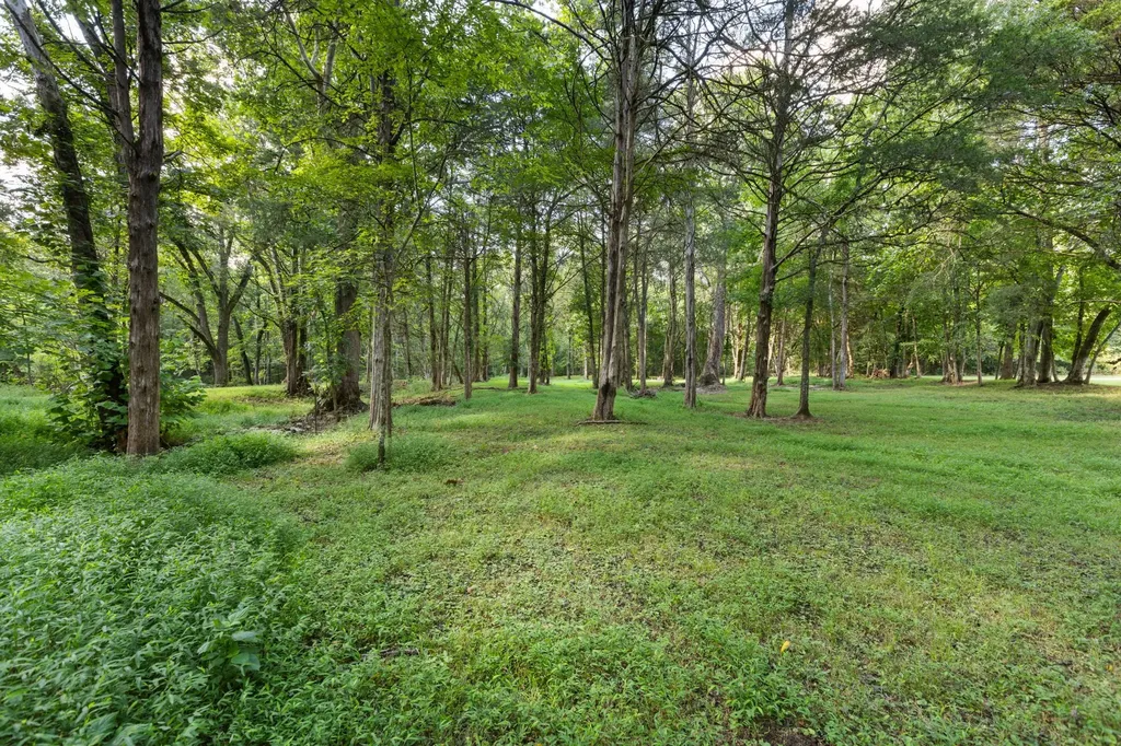 1825 N Lovvorn Road Christiana TN 37037