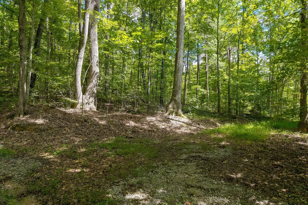 2047 Laurelburg Road Rock Island TN 38581