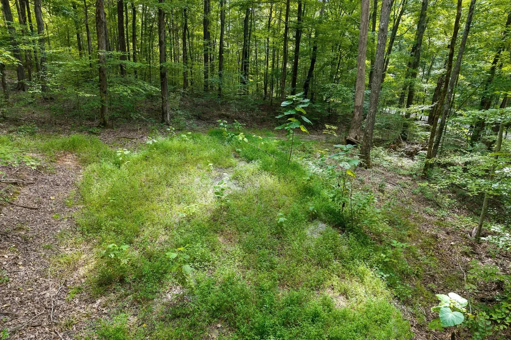 2047 Laurelburg Road Rock Island TN 38581
