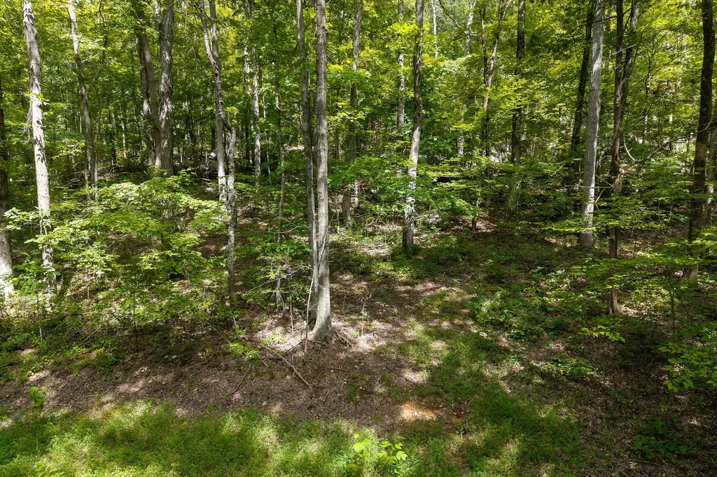 2047 Laurelburg Road Rock Island TN 38581