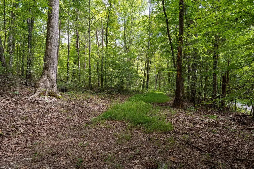 2047 Laurelburg Road Rock Island TN 38581