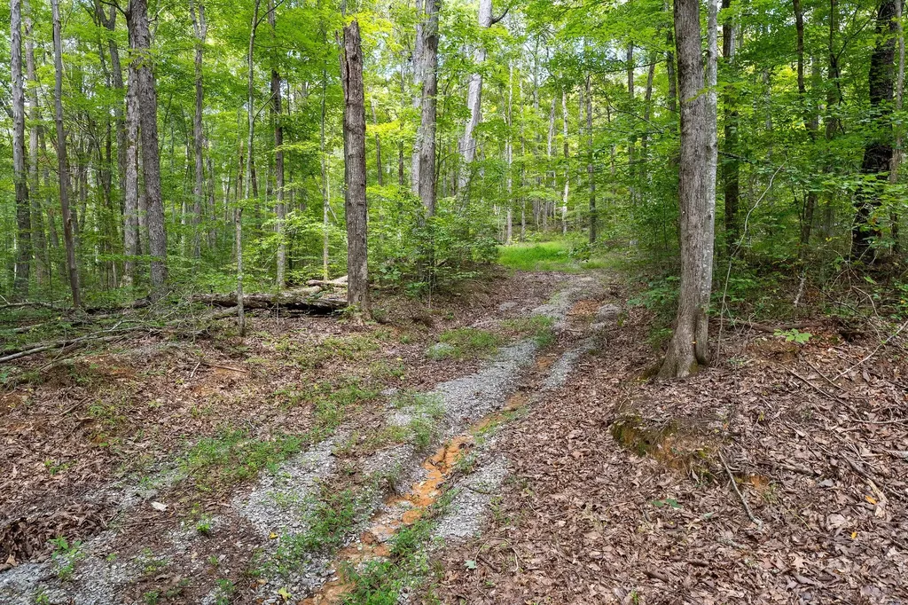 2047 Laurelburg Road Rock Island TN 38581