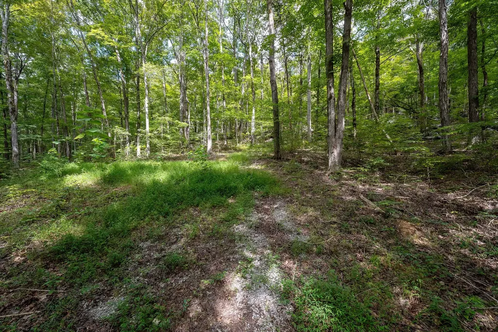 2047 Laurelburg Road Rock Island TN 38581
