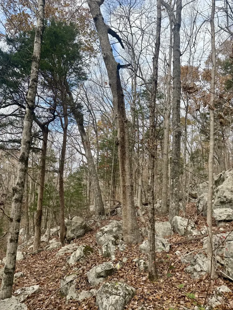 2047 Laurelburg Road Rock Island TN 38581