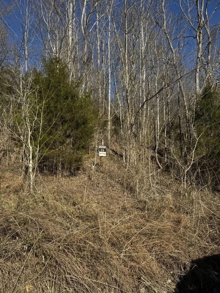 92 Shoreside Drive Smithville TN 37166