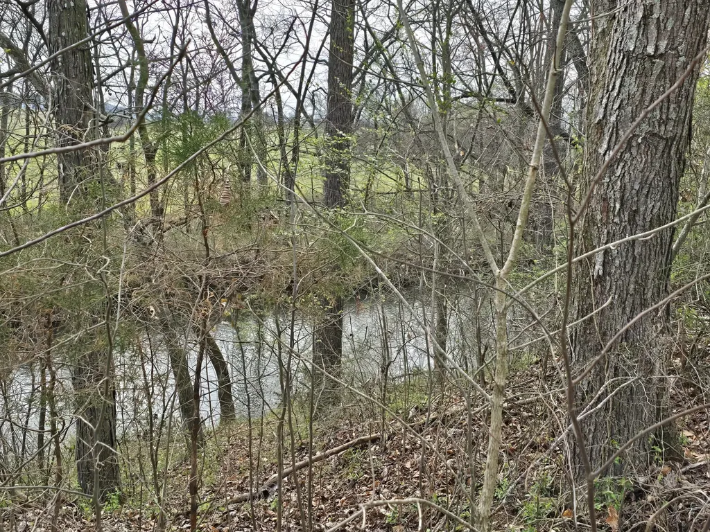 6579 Vervilla Road Morrison TN 37357