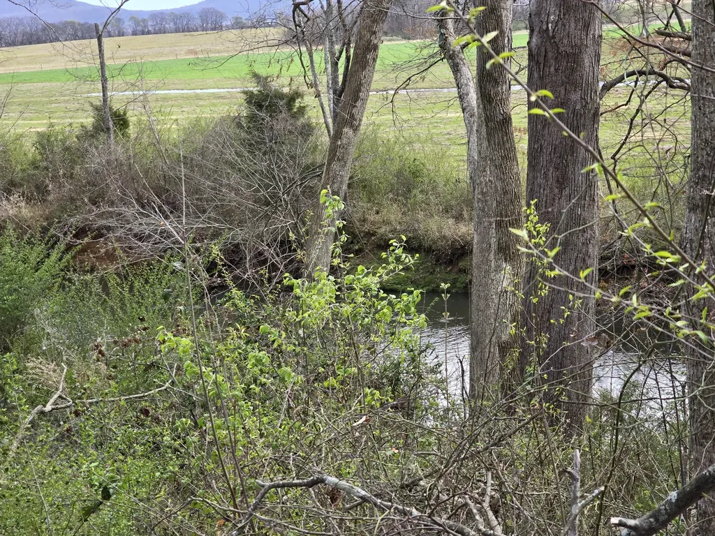 6579 Vervilla Road Morrison TN 37357