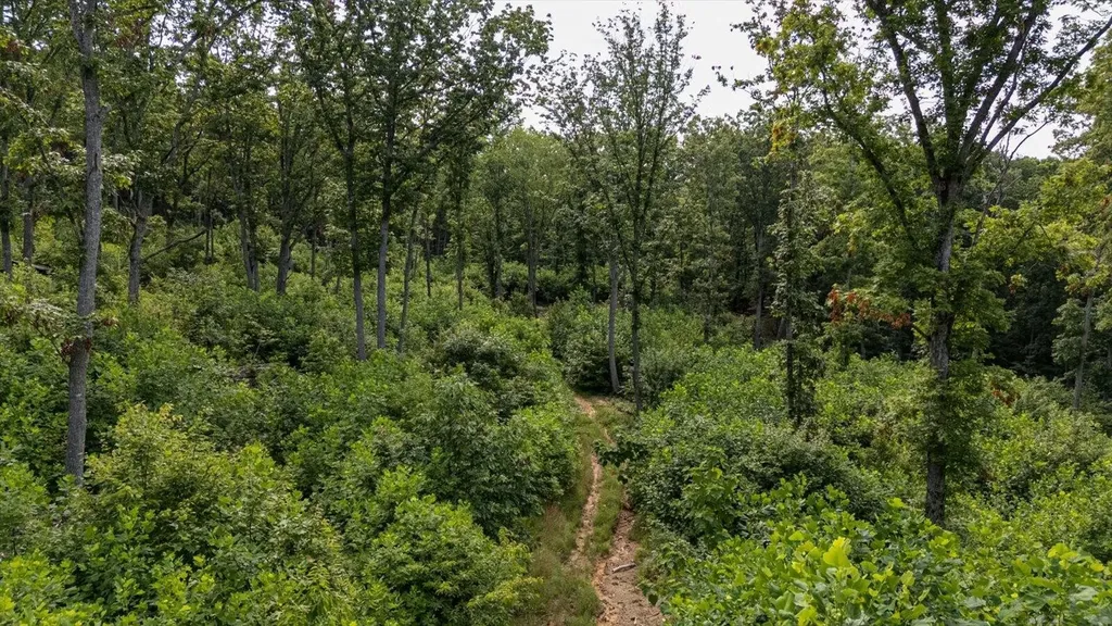 2148 Topside Drive Spencer TN 38585