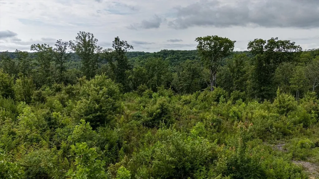 2148 Topside Drive Spencer TN 38585