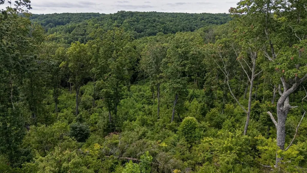 2148 Topside Drive Spencer TN 38585