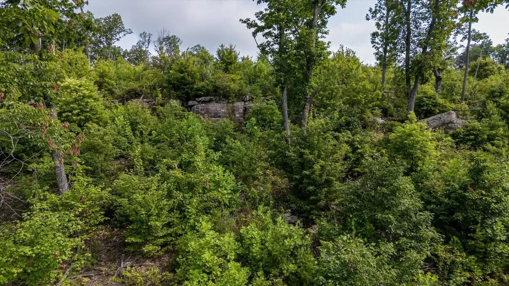 2148 Topside Drive Spencer TN 38585