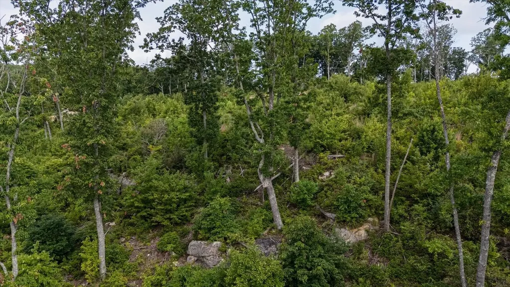 2148 Topside Drive Spencer TN 38585