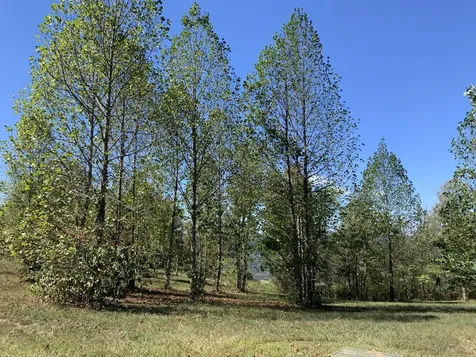 1130 Sunset Circle Jasper TN 37347