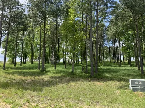 1130 Sunset Circle Jasper TN 37347