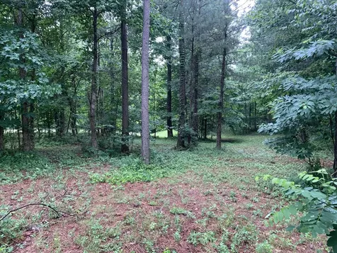275 Lookout View Drive Jasper TN 37347