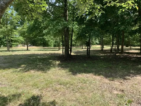 275 Lookout View Drive Jasper TN 37347