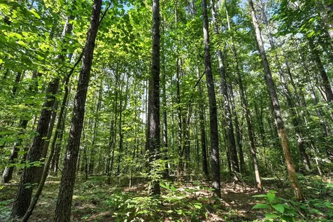 0 West Hollow Road Goodspring TN 38460