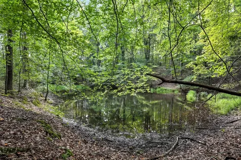 0 West Hollow Road Goodspring TN 38460