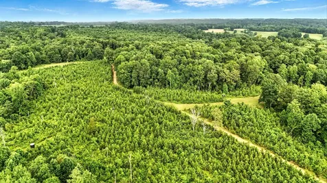0 West Hollow Road Goodspring TN 38460