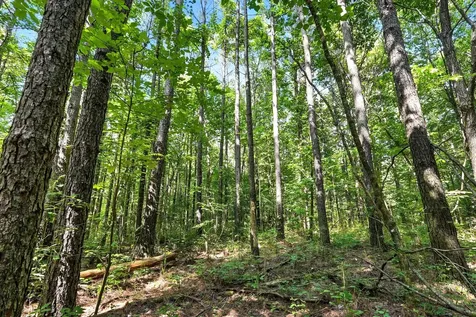 0 West Hollow Road Goodspring TN 38460