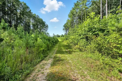 0 West Hollow Road Goodspring TN 38460