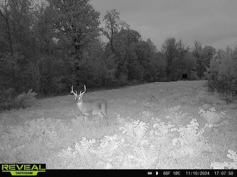 0 West Hollow Road Goodspring TN 38460
