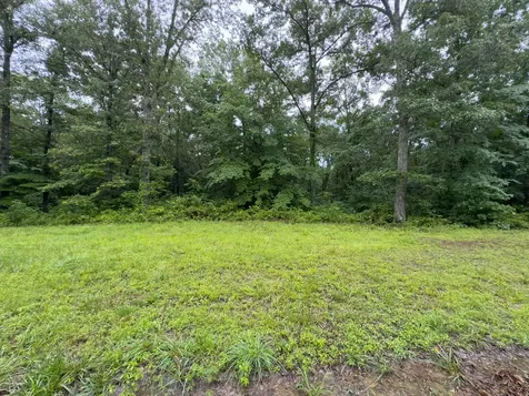 0 Three Rivers Drive Hurricane Mills TN 37078