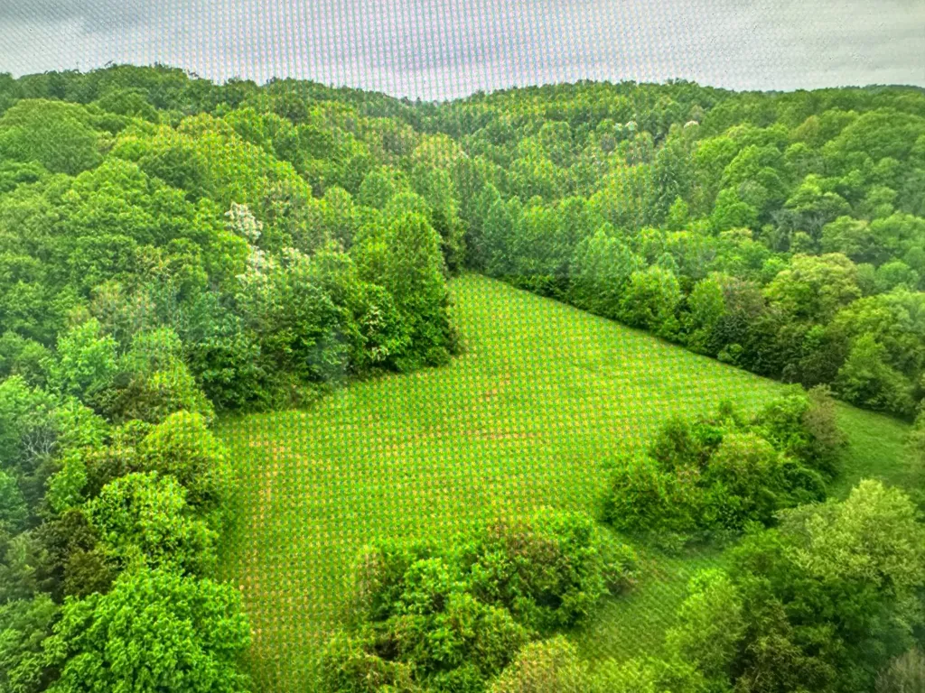 0 Collier Road Lewisburg TN 37091