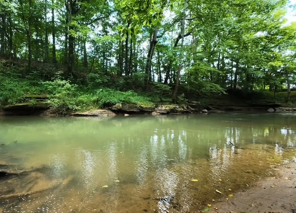 738 Blue Water Drive Cookeville TN 38506