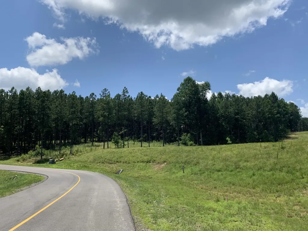 350 Crockett Loop Jasper TN 37347