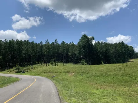 350 Crockett Loop Jasper TN 37347
