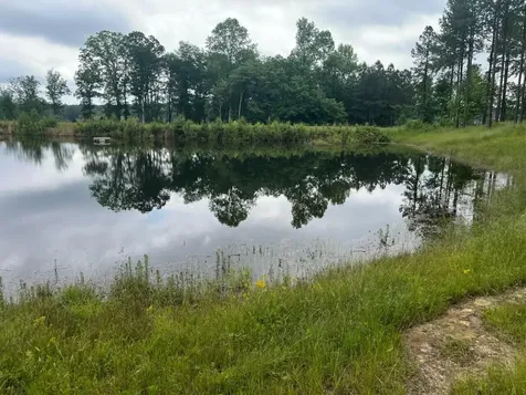350 Crockett Loop Jasper TN 37347