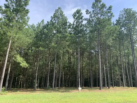 350 Crockett Loop Jasper TN 37347