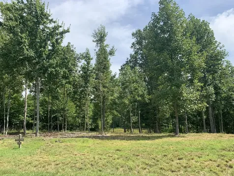 350 Crockett Loop Jasper TN 37347