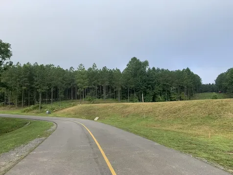 350 Crockett Loop Jasper TN 37347